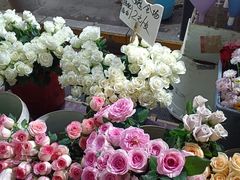 -循礼门鲜花花市(武汉循礼门店)