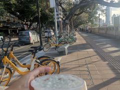 -东江海鲜酒家(艺都分店)