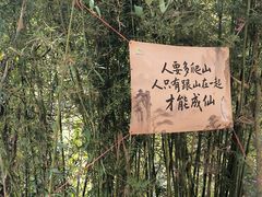 -广州白江湖森林公园