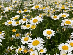 -漩门湾国家湿地公园