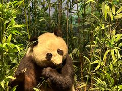 -陕西自然博物馆