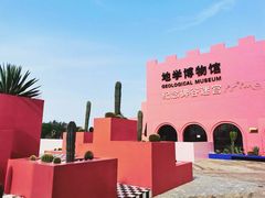 -漳州滨海火山岛自然生态风景区