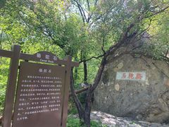 -阳台山自然风景区