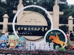 -大奇山国家森林公园