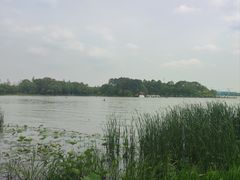 -金鸡湖桃花岛