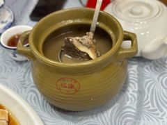 -粤·向群饭店(龙津东路总店)