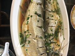 -呼吸森林·生态农庄农家乐私房菜