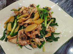 -鸽鸟轩(石岐店)