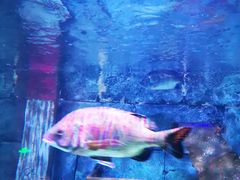 -沈阳海洋探索中心