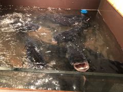 -上名堂·鱼头好吃(体育场路店)