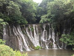 -峨眉山报国寺