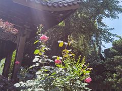 -檀园