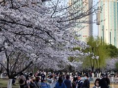 -西北湖绿化广场
