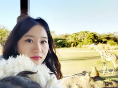 -奥兰多迪士尼动物王国乐园