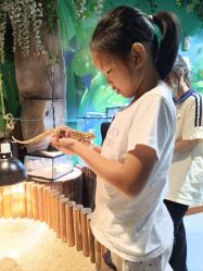 -酷嗒动物文化乐园(cutezoo西溪乐天城店)