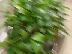 -洛阳宴·洛阳菜(南昌路店)