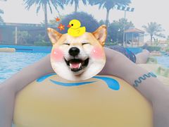 -黄金海岸水上乐园