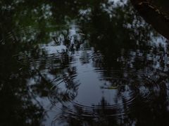 -望江楼公园