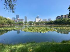 -宝岛公园