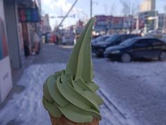 -蜜雪冰城(彰武店)