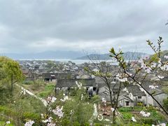 -东钱湖旅游度假区