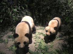 -武汉园博园(武汉自然博物馆)