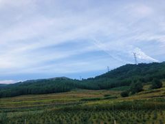 -塞罕坝国家级自然保护区