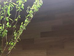 -山下C5cafe(惠通时代广场店)