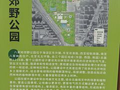 -东升八家郊野公园