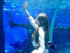 -哈尔滨波塞冬海底世界