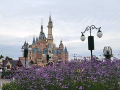 -上海迪士尼度假区