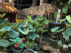 -园林美食城·本土农家菜(杨和镇店)