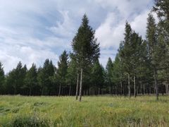 -塞罕坝国家级自然保护区