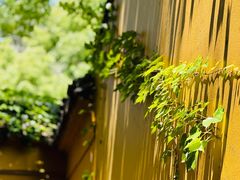 -西园寺