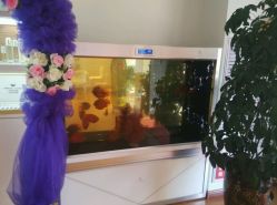 -苗方清颜专业祛痘养生