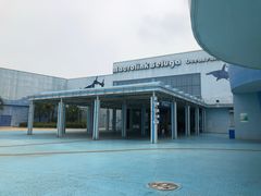 -芜湖新华联大白鲸海洋公园