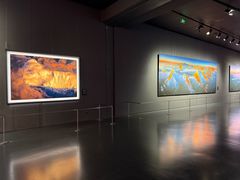 -罗红摄影艺术馆