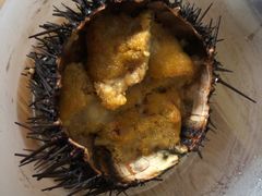 -海胆小馆(东北水饺·春柳店)