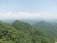 -栾川竹海野生动物园