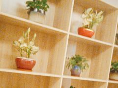 -润康源·奢养足道SPA按摩中心(南屏华枫酒店)