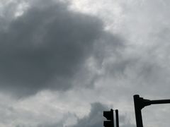 -开封张记烧鸡(花牌坊街123号院店)