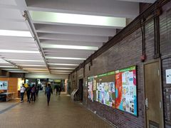 -香港大学