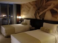 -国家会议中心大酒店