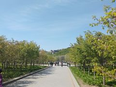 -北山公园