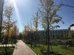 -北京国家会计学院