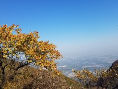 -阳台山自然风景区