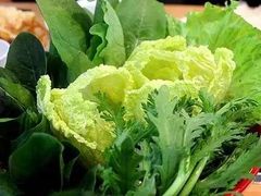 -守柴炉烤鸭(乐山万达店)