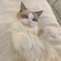 -元一肌肤管理中心