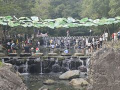 -石台牯牛降景区
