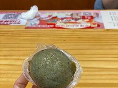 -海丝金凤(金鱼店)